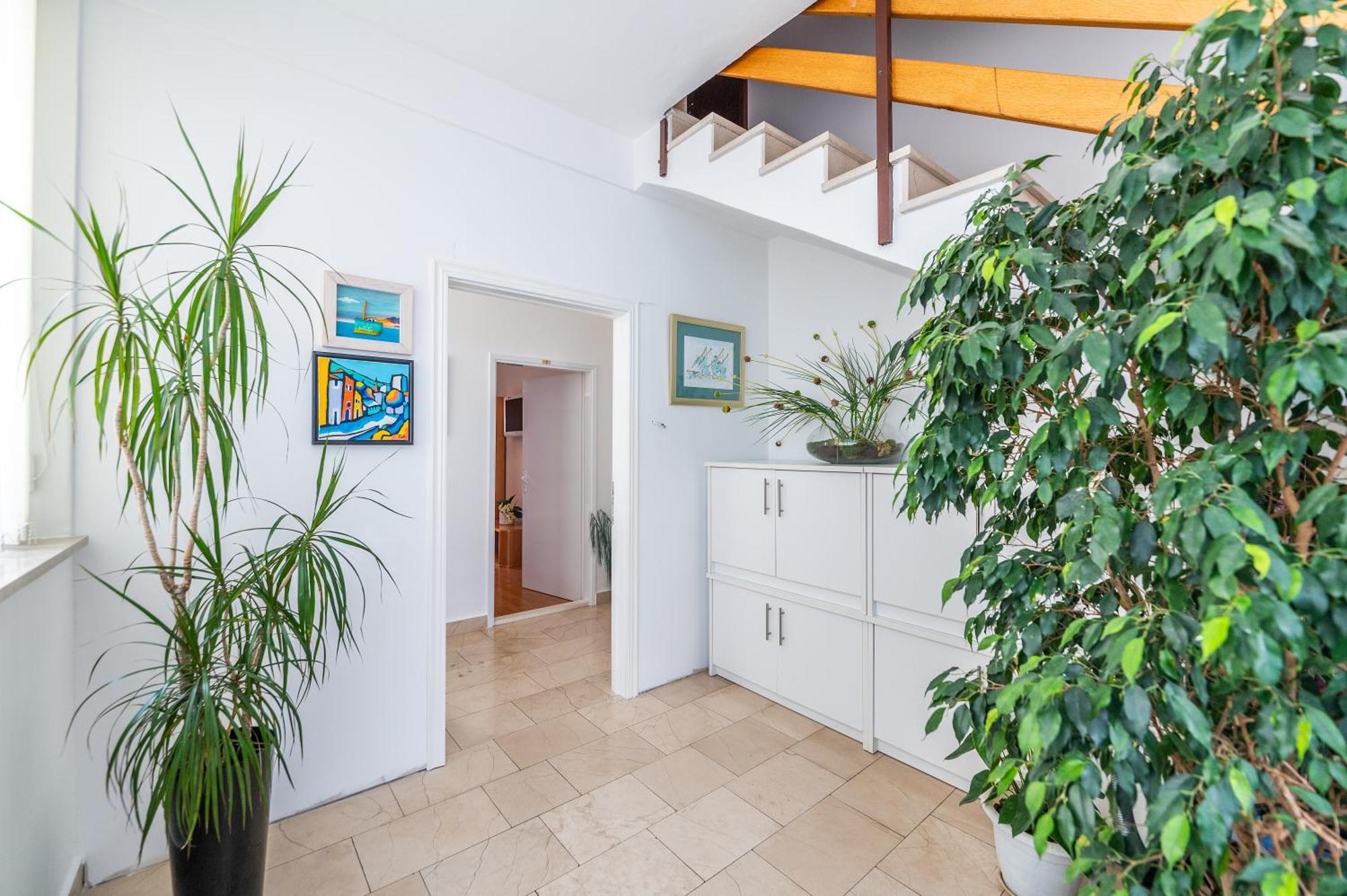 Apartments Sokol ماكارسكا المظهر الخارجي الصورة
